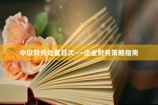 中级财务处置目次——企业财务策略指南