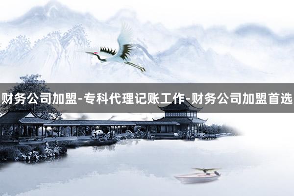 财务公司加盟-专科代理记账工作-财务公司加盟首选